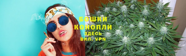 ешки Новый Уренгой