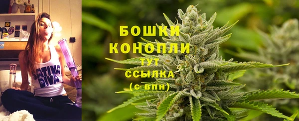 гашик Белокуриха