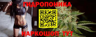 ПСИЛОЦИБИНОВЫЕ ГРИБЫ Заводоуковск