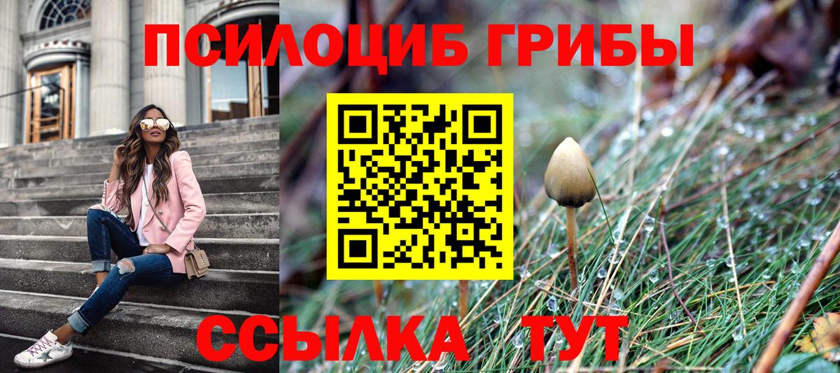 Псилоцибиновые грибы Psilocybe Учалы