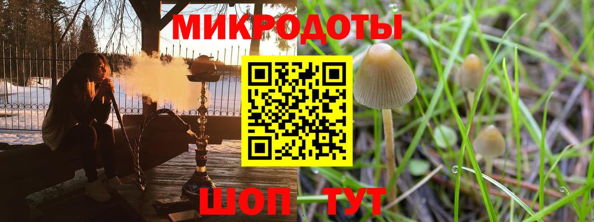 купить   Галлюциногенные грибы мицелий  Вход с VPN  Учалы 