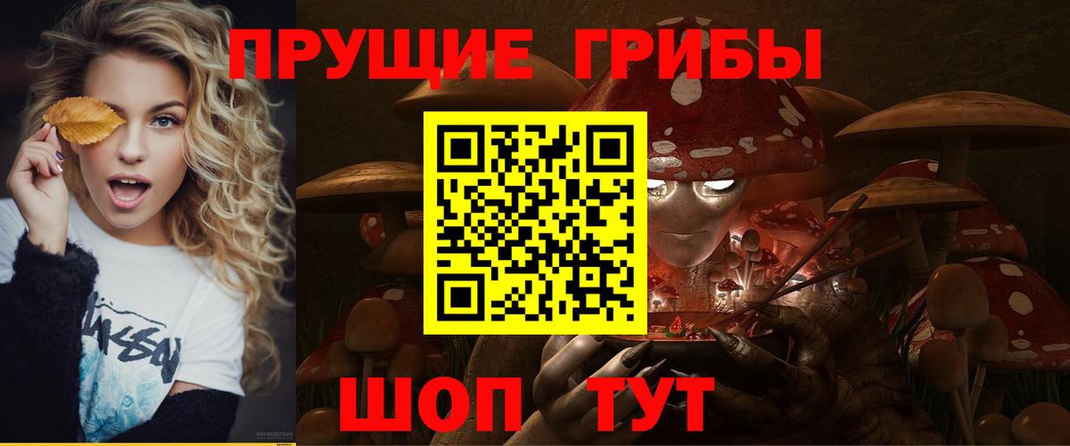 Псилоцибиновые грибы мицелий Учалы